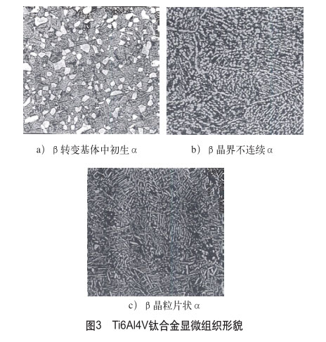 Ti6Al4V⁺Ͻ��@΢�M����ò